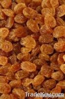 Sultana Raisins (Dried Raisin Fruit)