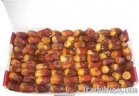 egyptian semi dry dates