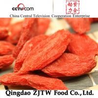 2013 New Chinese Organic Goji Berry