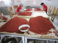 china dried goji berry