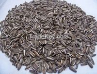 Chinese organic sunflower seeds for sale/sunflower kernel