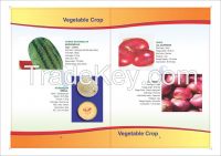 vegetable hybrid seeds