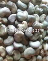 Cashew nuts shell