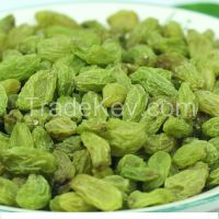 &quot;XinJiang&quot;High Quality Green Raisin/Dried Green Currant