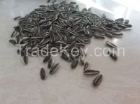 2015 new crop sunflower seeds 