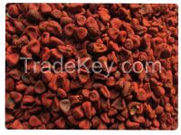 Annatto Seed