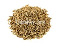 Grade A Cumin Seeds ,flax seeds, alfalfa seeds, castor seeds,coton seed, hemp seed chia seed for sale