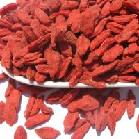 High Quality Dehydrated Goji Berries from China 