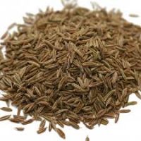 cumin seeds