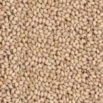 Seeds | Sesame Seeds | Brown Sesame Seeds