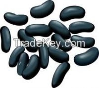 Black Beans | Speckled Kidney Beans | Red Beans