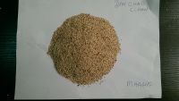 d-dyanamic-d Nigerian seseme seeds