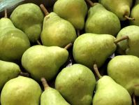 Pear Abate, Kaiser, William's, Red Bartlett, Comice, Summer pears