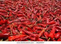 Cayenne Pepper/Red pepper (capsicum)