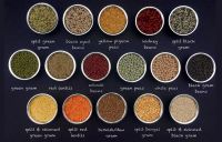 Pulses