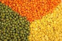 High Quality Yellow and Green Peas