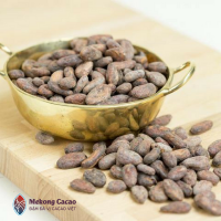 Cocoa Bean (Maruo Standard)