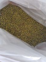 NEW CROP green mung bean
