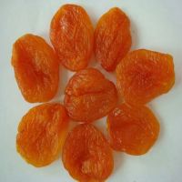 dried fruit apricot