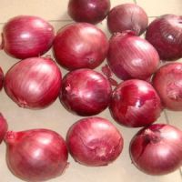 GAP Fresh Red Onions For Sale, Yellow Onion Fresh, 10KG White Onion