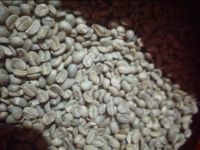 Arabica Coffee Beans Grade 1