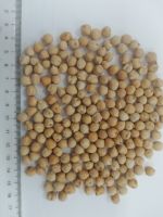 Kabuli Chickpeas