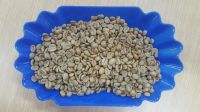 Arabica / Robusta / Excelsa Green Coffee beans from all origins