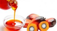 Crude Palm Oil and Derivatives