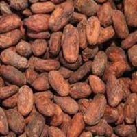 Natural High Grade Sun Dried Cocoa Beans1