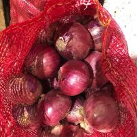 Fresh Onion Red & White /Redish pink natural big size ONION 50MM