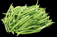 FRENCH BEANS 