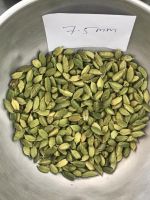 Green Cardamom