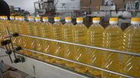 Export of vegetable oils from Russia 