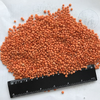 Red lentils FOB Astrakhan Russia