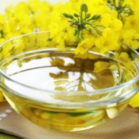 Plant Oils, Rapeseed Oil, Refined Canola Oil