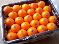 Sweet Fresh mandarin orange/Fresh Orange, Naval Orange, Valencia Oranges for sale