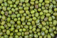 Ethiopian Green Mung Beans