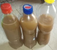 Crude & Unrefined Castor oil