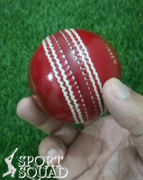 Hand Stitched Leather Cricket Ball