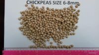 KABULI Dried Raw Organic 7mm 8mm 9mm chickpeas for sale