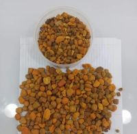 Cattle Gallstones, Cow Gallstones, Ox Gallstones