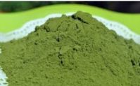 Moringa Leaves Dry and Powder