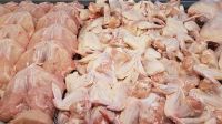High Grade High Quality Fresh Frozen Whole Chicken , Poultry Meat Frozen Whole Chicken, Chicken meat