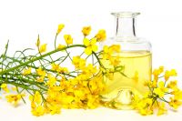 rapeseed oil