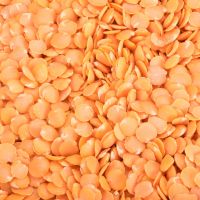 dried red and yellow lentils for sale 