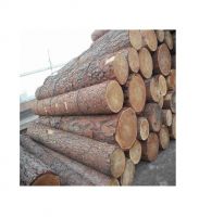 Pine, Hardwood timber, Teak wood / Pine wood logs, oak wood logs for supply at cheap price