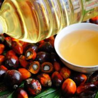 High Quality Crude Palm Oil (CPO) Price