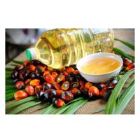 Hight Quality Palm Oil Cooking Cheap Price Origin Thailand