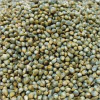 Good Quality 800g Millet Groats / White millet / Bulk White Millet