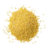 Good Quality Protein-Rich Yellow Hulled Millet for Sale